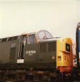 37250 at Coalville Open Day