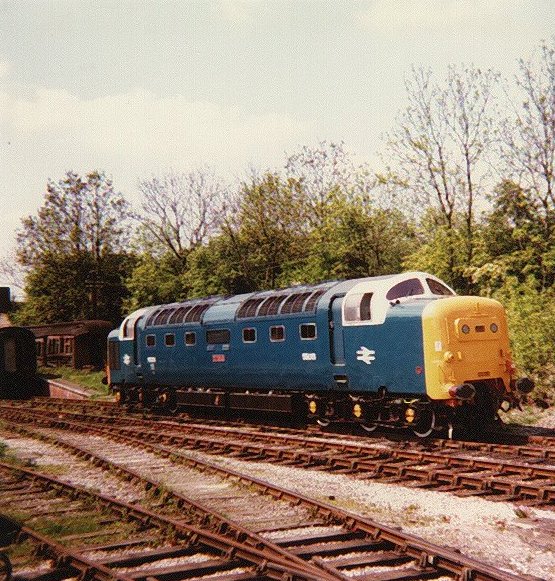 55015 in BR Blue at Butterley Railway Centre .